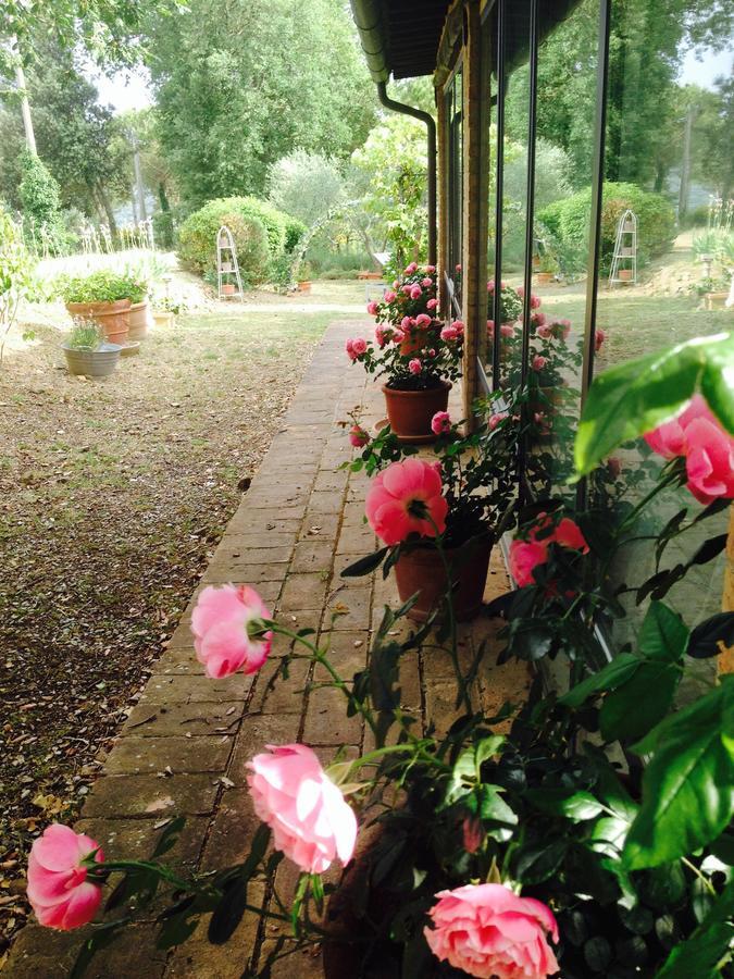 Holiday home Podere Il Lampo